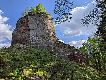 Ruines du château de Frymburk.