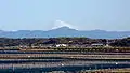Le mont Fuji et le lac Hamana.