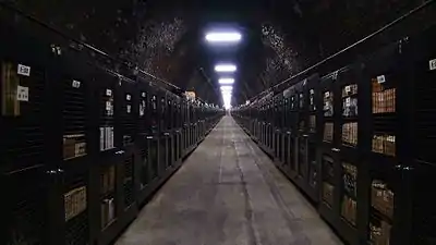 Le tunnel de Fukasawa (entre Kōshū et Yamanashi, au nord du mont Fuji), utilisé pour la conservation du vin.