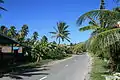 Route à Funafuti.