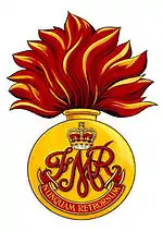 Image illustrative de l’article Les Fusiliers Mont-Royal