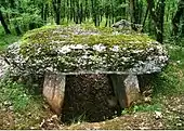 Entrée du dolmen no 1 de Marcigaliet