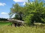 Dolmen de Pajot.