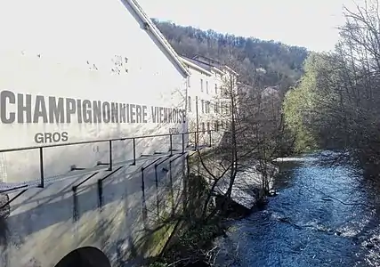 La minoterie REYGNIER portait longtemps le nom d'une champignonnière qui n'était plus