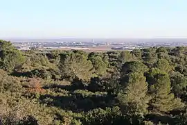 Au sud, Saint-Gilles et la plaine camarguaise.