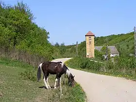 Górki (Gorzów)