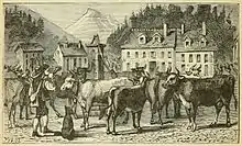 Gravure noir et blanc montrant un troupeau bovin sur la place d'un village. Les animaux sont blancs ou rouge sombre-noir à ventre et tête blanche.