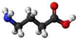 Image illustrative de l’article Acide γ-aminobutyrique