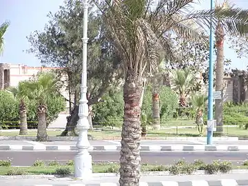 Jardin devant la Bibliotheca Alexandrina où devrait être érigée la porte du phare d'Alexandrie sortie des eaux