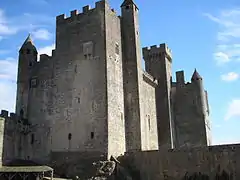 Donjon du XIIe siècle.