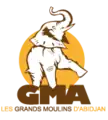 Ancien logo