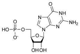 Guanosine monophosphate