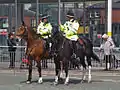 Policiers de la GMP à cheval à Bury.