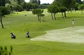 Le golf de la Grande-Motte.