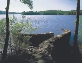 Andy Goldsworthy Vassivière