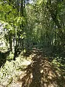 Le sentier de grande randonnée GR 4 près du domaine de la Malinie.