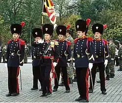 Image illustrative de l’article 1er régiment de grenadiers (Belgique)