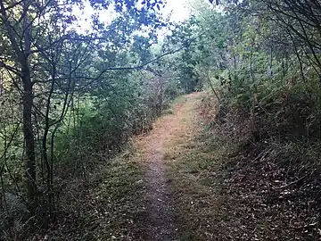 Le sentier en 2017.