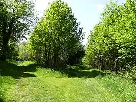 Image illustrative de l’article Forêt domaniale de Lanmary et alentours