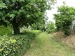 Le GR 41 à proximité du bourg.