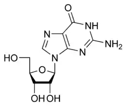 Image illustrative de l’article Guanosine