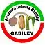 Blason de Gabiley