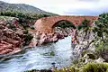 Ponte Vecchiu vu de l'aval