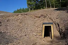 Entrée de mine avec boisage au milieu d'un petit terril en bordure de forêt.