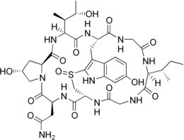 Image illustrative de l’article Gamma-Amanitine