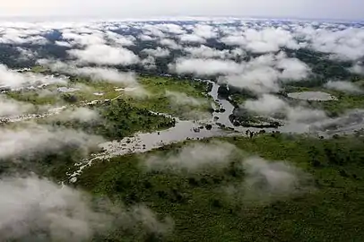 Végétation du parc national de la Garamba (république démocratique du Congo) en 2009.