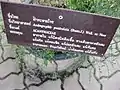 Panneau descriptif en thaï, Jardin botanique de la reine Sirikit, Thaïlande