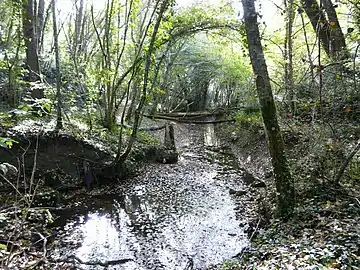 La Gardonnette en limite de Rouffignac-de-Sigoulès (à droite) et Singleyrac.