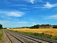 Gare de Muizon (2017).