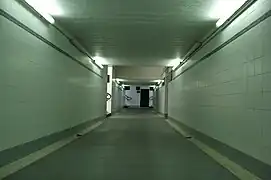 Tunnel piéton éclairé par des néons en haut des murs.