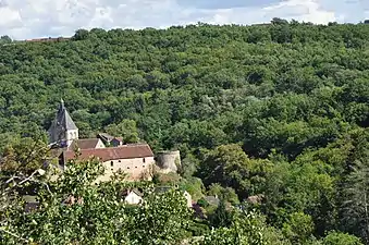 La forêt à Gargilesse-Dampierre en 2010.