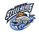 Logo du Steelheads de Gary