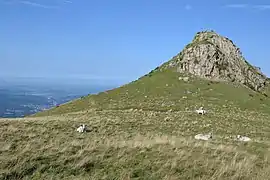 Gasconnes à la jasse du Taulat.