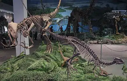 Dinosaures au musée des dinosaures