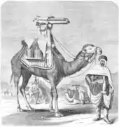 Dessin au trait d'un chameau équipé d'une selle avec une mitrailleuse.