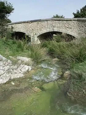 Gaudre de Romanin au guet du Calan de Rousset, Saint-Rémy-de-Provence.