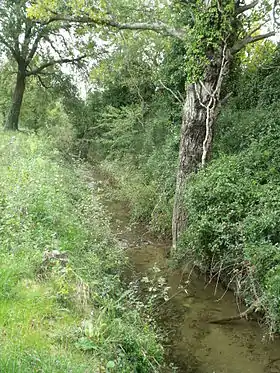 Gaudre du Destet à Mouriès.