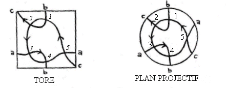 Réalisation de la courbe de code de Gauss (1,2,3,4,5,3,4,1,2,5) sur le tore et le plan projectif.
