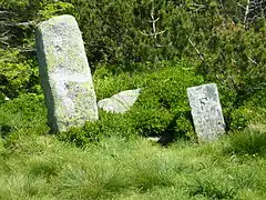 Les anciennes bornes de la frontière franco-allemande sur le crête du gazon du Faing.