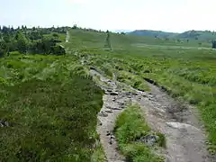 Chemin de crête du gazon du Faing avec vue vers le sud sur le Hohneck, et le Taubenklangfelsen à droite.