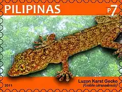Description de l'image Gekko_carusadensis_2011_stamp_of_the_Philippines.jpg.