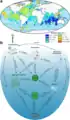 (en) Biomasse dite « gélatineuse » et son cycle biologique ;