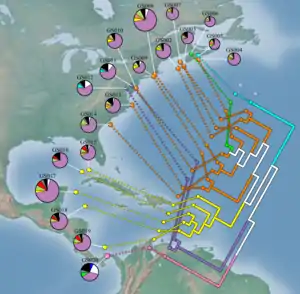 Biodiversité de 19 métagénomes de la mission Global Ocean Sampling Expedition