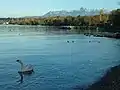 Lac Léman et massifs des Mémises et de la Dent d'Oche.