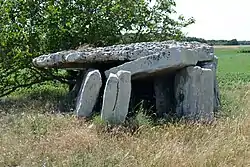 Image illustrative de l’article Dolmen de la Forêt