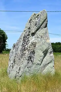 Image illustrative de l’article Menhir du Moulin Hilaire